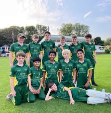 Image result for Ashtead Cricket Club