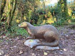 Image result for Ashcombe Valley Archers