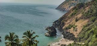 Image result for goa beaches