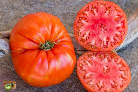 Afbeeldingsresultaat voor belarus orange tomato