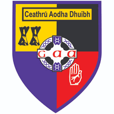 Image result for Carryduff Gaelic Athletic Club