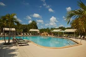 Image result for Elmbridge Boccia Club