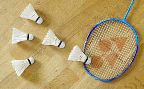 Image result for Beginners and Intermediate Badminton