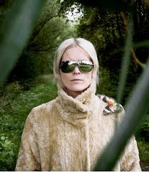 Image result for Karin Dreijer Andersson