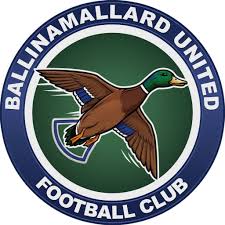 Image result for Ballinamallard United Football Club