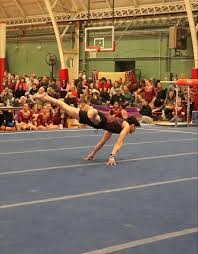 Image result for Focus Institute of Gymnastics