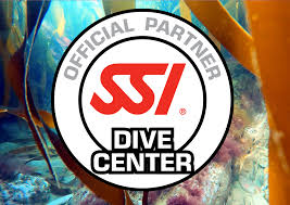 Image result for Looe Diving Club