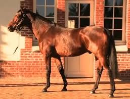 Image result for image Motivator