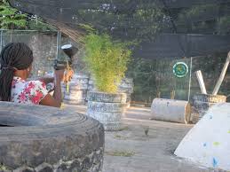 Image result for Blitz Paintball