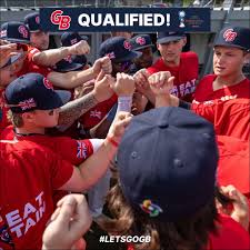 Image result for Norwich Iceni Baseball Club