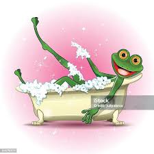 Image result for Bath Amphibians