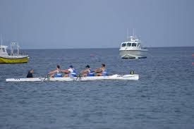 Image result for BTC rowing club