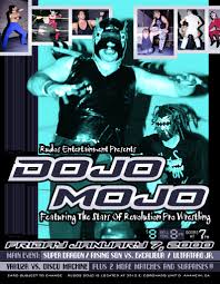 Image result for Revolution Dojo