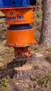 Image result for dipperfox tehron