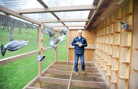 Image result for Meridian Racing Pigeon Lofts