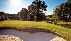 Image result for Vale Royal Abbey Golf Club