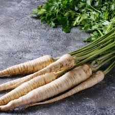 Image result for Pastinake