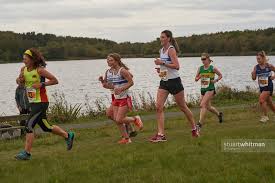 Image result for Alnwick Harriers