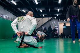 Image result for Team Renegade BJJ & Judo