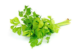 Image result for Liebstöckel