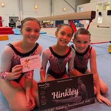 Image result for Hinckley Gymnastics Club