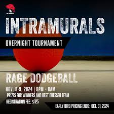 Image result for York University Dodgeball Club