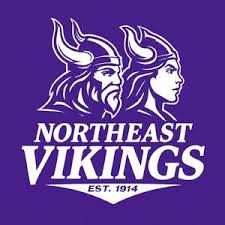 Image result for North East Vikings