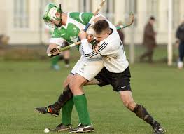 Image result for Lovat Shinty Club
