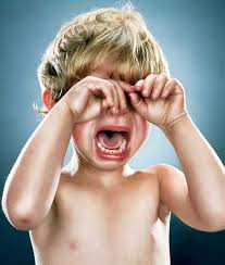 Image result for jill greenberg