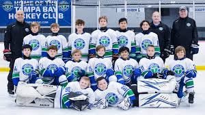 Image result for Tenbury Hockey Club