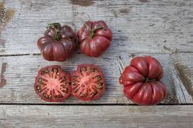 Afbeeldingsresultaat voor purple calabash tomato