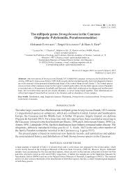 Attēlu rezultāti vaicājumam “Strongylosoma pallipes”