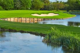 Image result for Buckinghamshire Golf Club