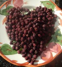 Attēlu rezultāti vaicājumam “Crataegus monogyna fruit”