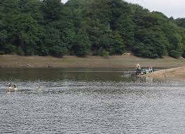 Image result for Bay Malton Angling Club
