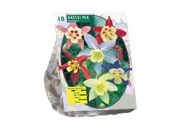 Image result for Akelei