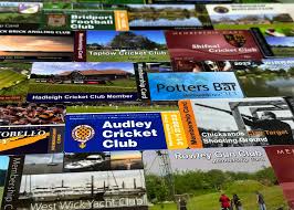 Image result for Bridport Cricket Club