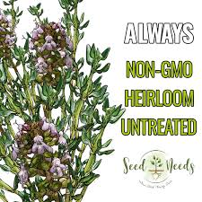 Attēlu rezultāti vaicājumam “Thymus vulgaris”