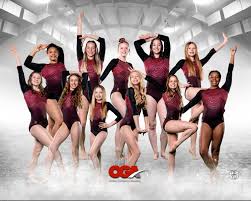 Image result for Olga Gymnastics & Trampoline Club