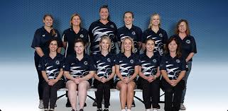 Image result for Willenhall Town Wanderers Netball Club