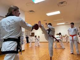 Image result for moray coast tang soo do