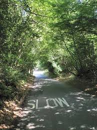 Image result for Green Lane Mountaineering Club, Surrey