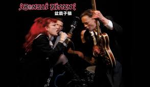 Kuvahaun tulos haulle bonsaikitten