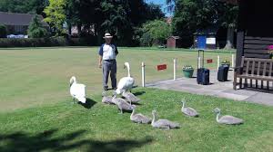 Image result for Charnwood Bowls Club
