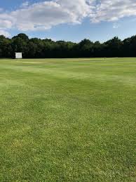 Image result for Long Ditton Cc