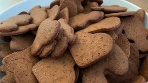 Attēlu rezultāti vaicājumam “Lycogala persicum”