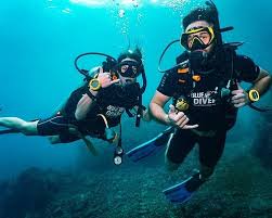 Image result for Woking Junior Snorkelling Club