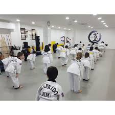 Image result for Swindon Hapkido Club