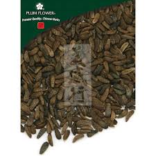 Attēlu rezultāti vaicājumam “Arctium lappa fruit”