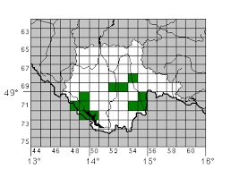 Attēlu rezultāti vaicājumam “Xylita laevigata”